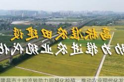 隆昌市土地流转助力规模化种植，推动农业现代化发展
